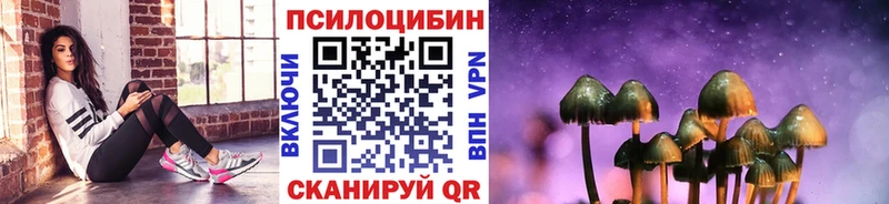 где найти наркотики  Волгореченск  Псилоцибиновые грибы Psilocybe 